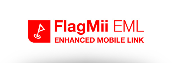 FlagMii-EML-2023
